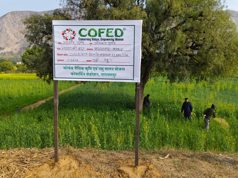 COFED organic mission — gallery photograph 2